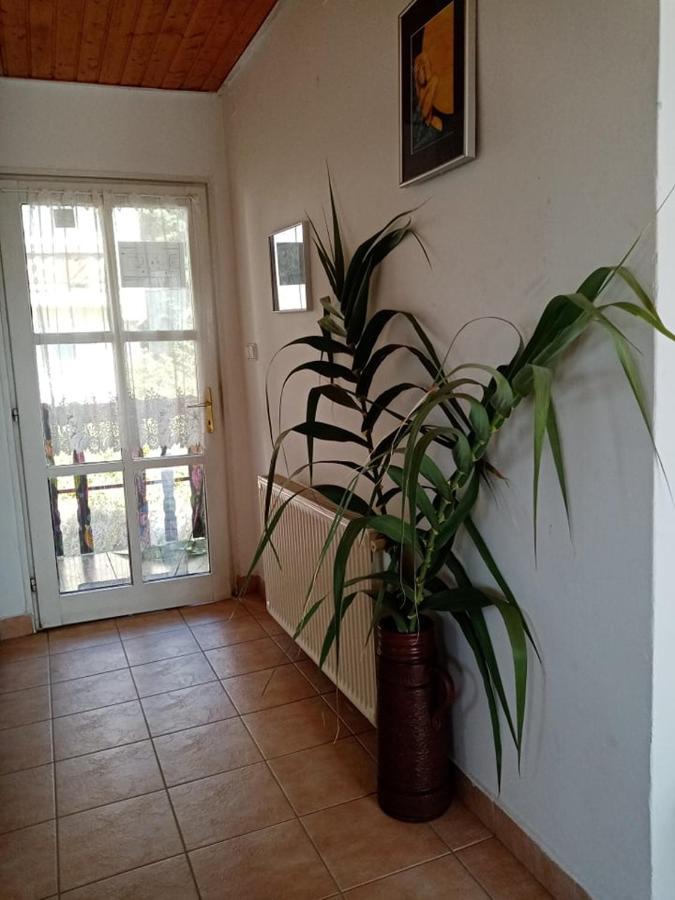 Kekturas-Tora Nyilo Badacsonyi Privat Berlemeny Hotel Badacsonytomaj Bagian luar foto